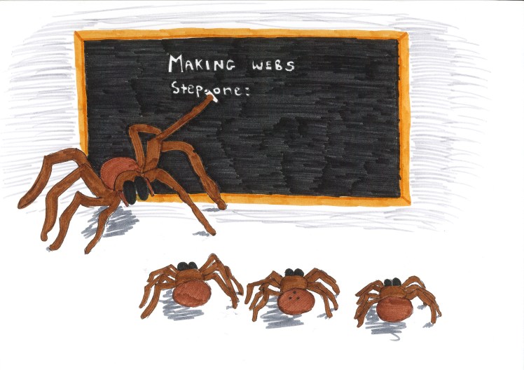 5 Classroom - making webs.jpg