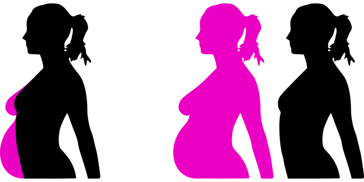 pregnancy-23889_1280